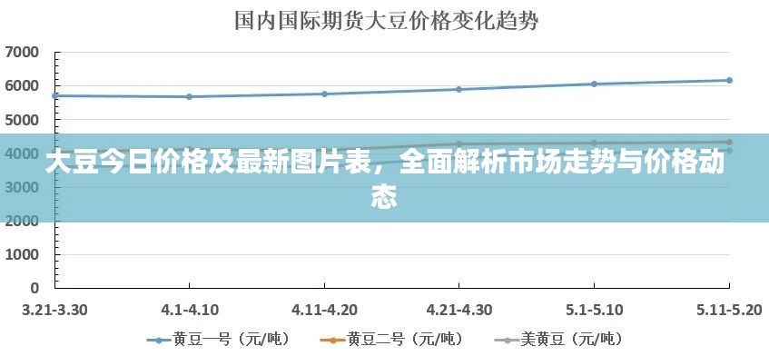 大豆今日价格及最新图片表，全面解析市场走势与价格动态