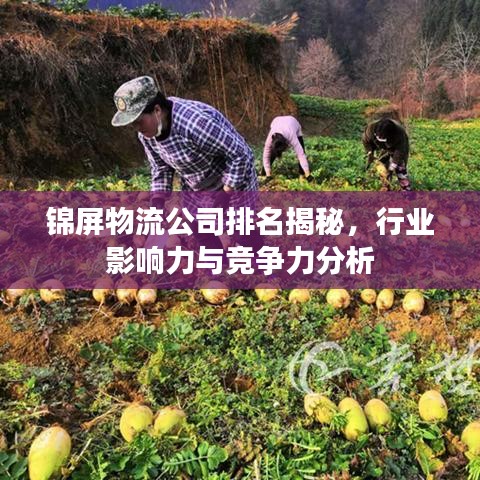 锦屏物流公司排名揭秘，行业影响力与竞争力分析