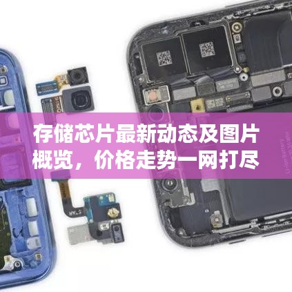 存储芯片最新动态及图片概览，价格走势一网打尽