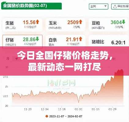 今日全国仔猪价格走势，最新动态一网打尽