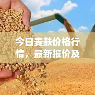 今日麦麸价格行情，最新报价及市场分析