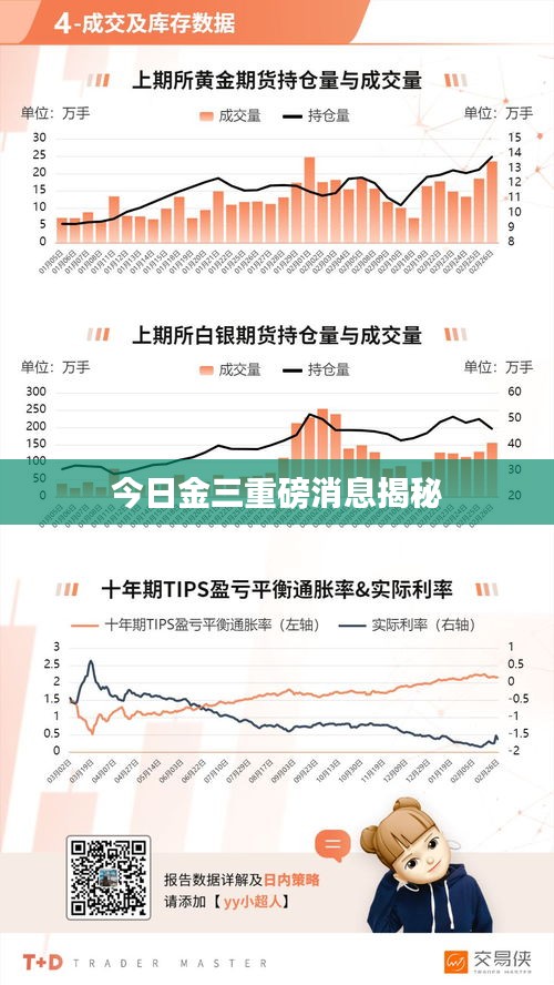 今日金三重磅消息揭秘