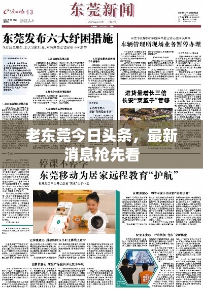 老东莞今日头条，最新消息抢先看