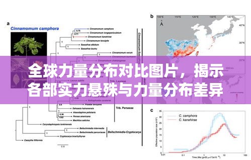 全球力量分布对比图片，揭示各部实力悬殊与力量分布差异