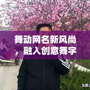 舞动网名新风尚，融入创意舞字，探寻百度搜索魅力之源