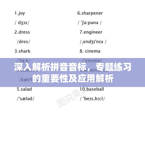 深入解析拼音音标，专题练习的重要性及应用解析