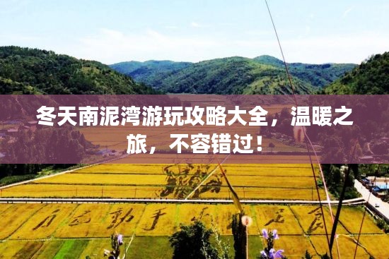 冬天南泥湾游玩攻略大全，温暖之旅，不容错过！