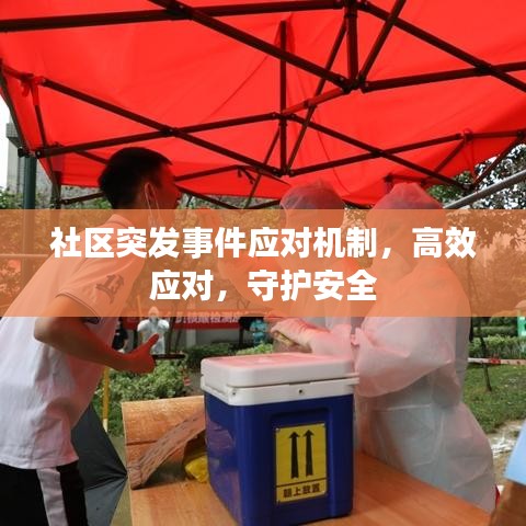 社区突发事件应对机制，高效应对，守护安全