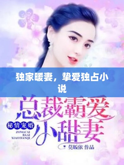 独家暖妻，挚爱独占小说