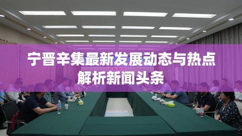 宁晋辛集最新发展动态与热点解析新闻头条