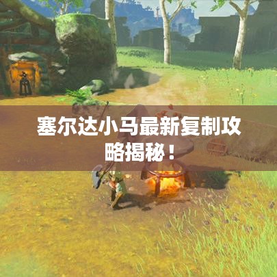 塞尔达小马最新复制攻略揭秘！