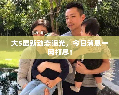 大S最新动态曝光，今日消息一网打尽！