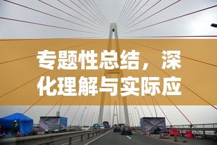 专题性总结，深化理解与实际应用间的桥梁