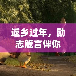 返乡过年，励志箴言伴你前行