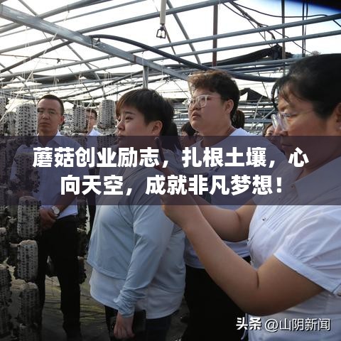 蘑菇创业励志，扎根土壤，心向天空，成就非凡梦想！