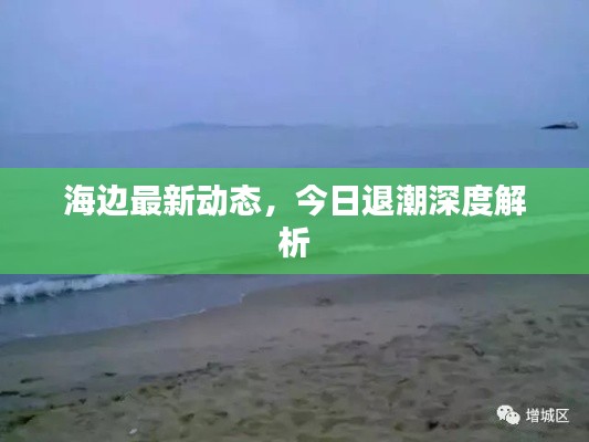 海边最新动态，今日退潮深度解析