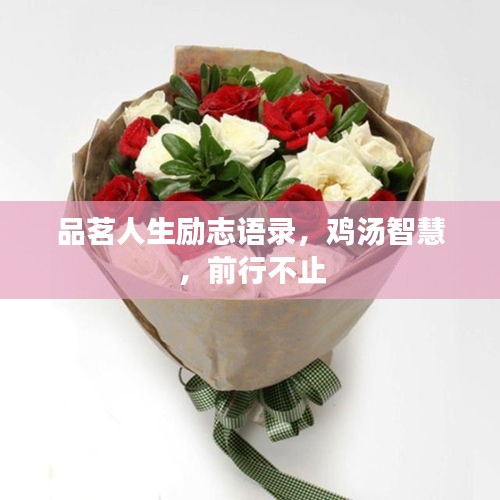 品茗人生励志语录，鸡汤智慧，前行不止