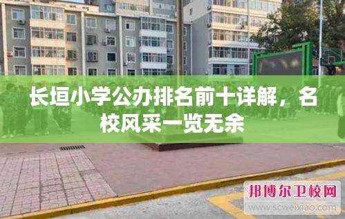 长垣小学公办排名前十详解，名校风采一览无余