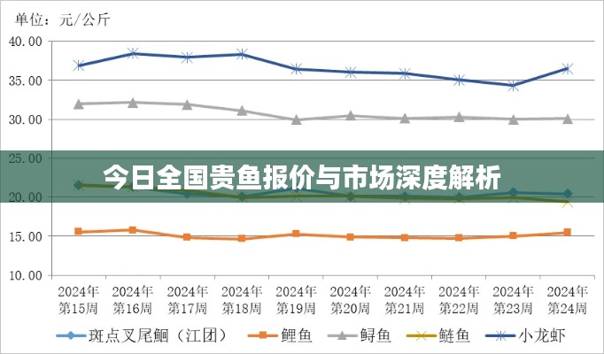 今日全国贵鱼报价与市场深度解析