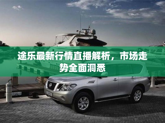 途乐最新行情直播解析，市场走势全面洞悉