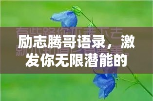 励志腾哥语录，激发你无限潜能的励志名言