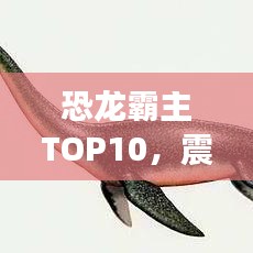 恐龙霸主TOP10，震撼世界的十大恐龙排名